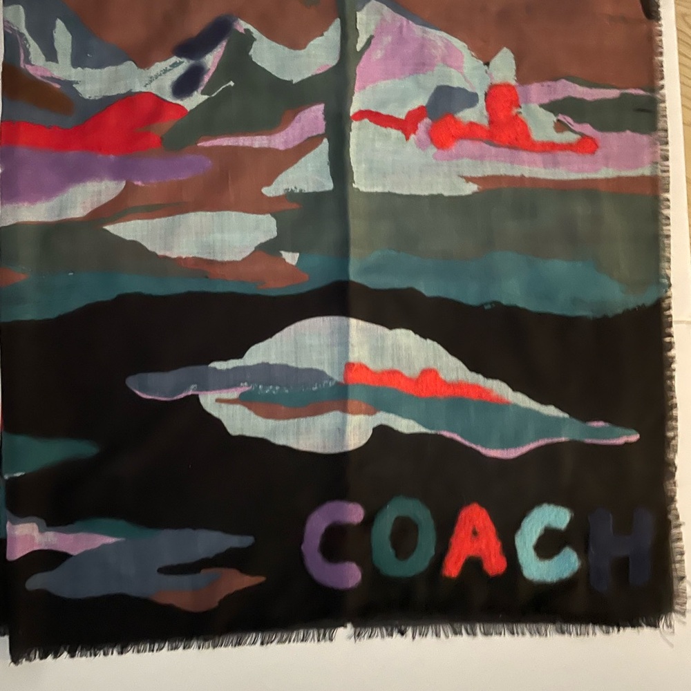 Coach Colorful Abstract Scarf - Picture 2 of 3